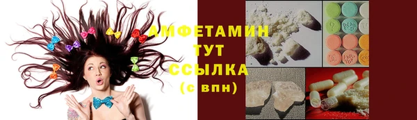 метадон Вяземский