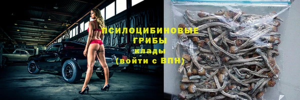 метадон Вяземский