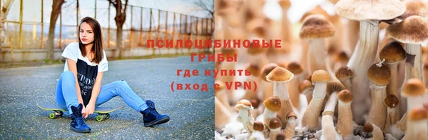 MDMA Premium VHQ Вязники