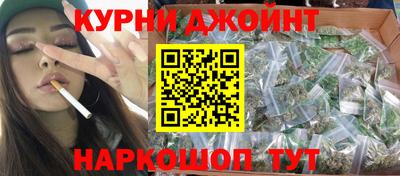 крисы Бийск