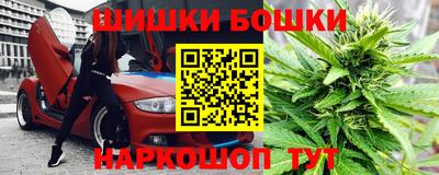 шишки Волжский