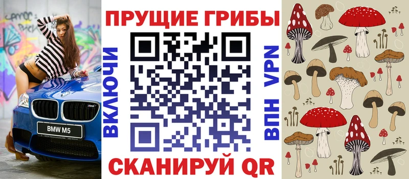 Псилоцибиновые грибы GOLDEN TEACHER  Десногорск 