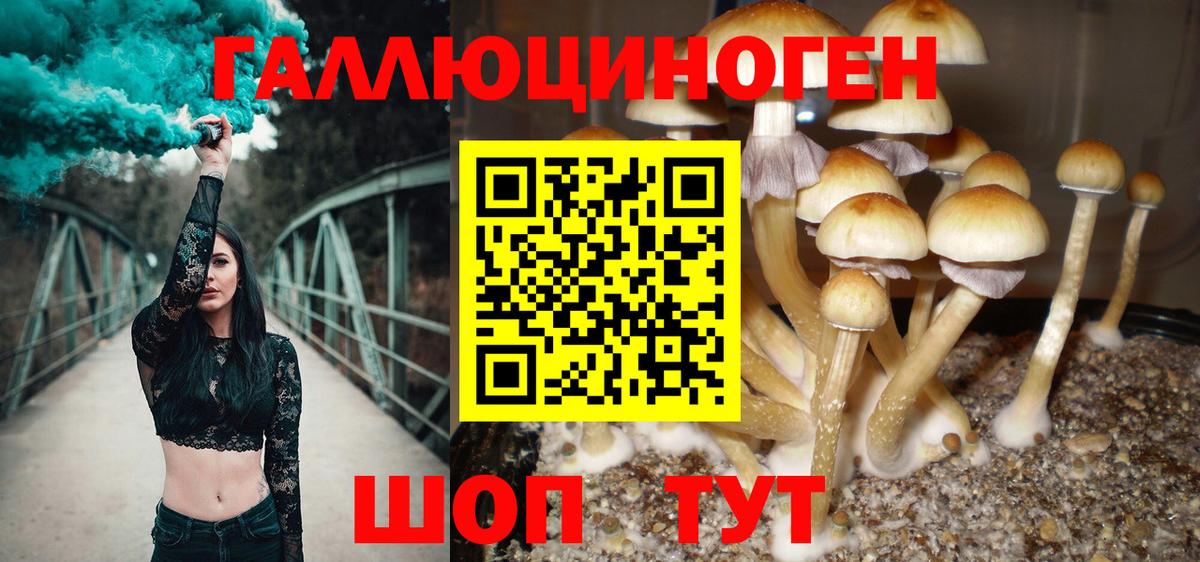 Псилоцибиновые грибы Psilocybine cubensis  Псилоцибиновые грибы мухоморы  Десногорск  Вход с VPN 