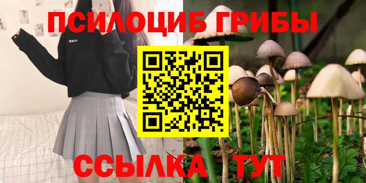 Псилоцибиновые грибы Magic Shrooms Десногорск